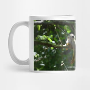 Squirrel Monkey at Rest Mug